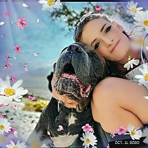 Meet your Posher, Posh